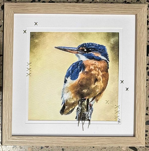 Kingfisher - Image 2